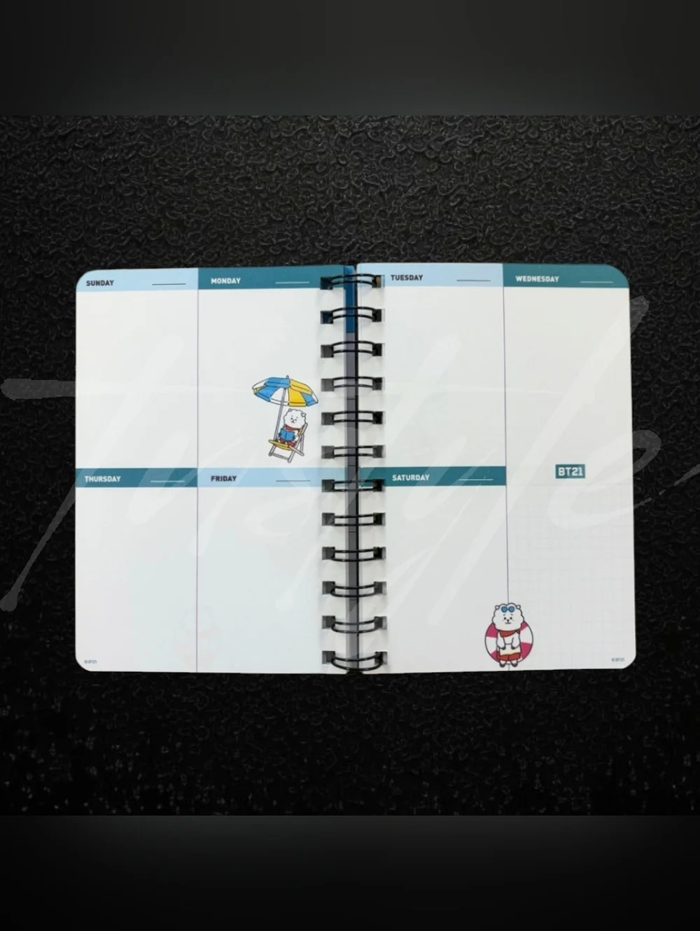 ⭐️LTD QTY⭐️ BT21 Undated Monthly/Weekly Planner- RJ